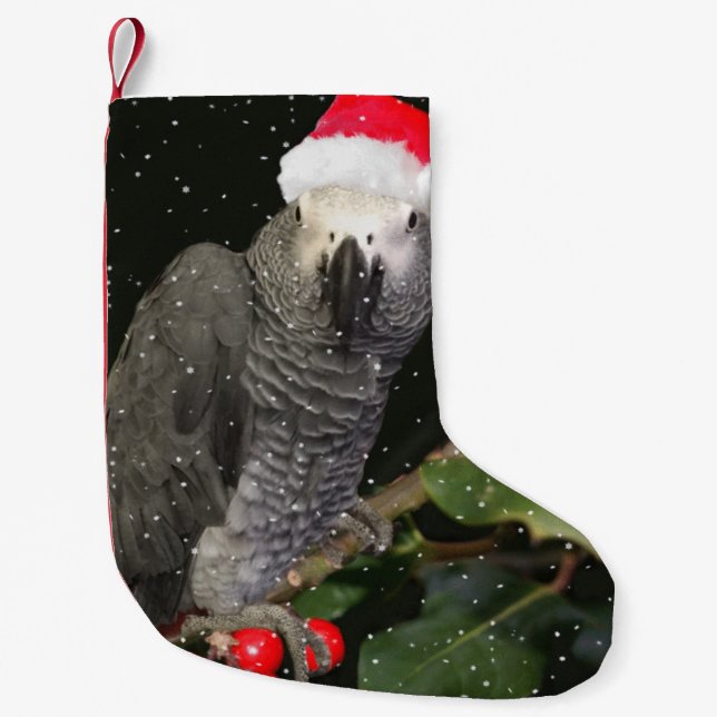 Petite Chaussette De Noël Stationnement de vacances pour le perroquet gris d (Devant)