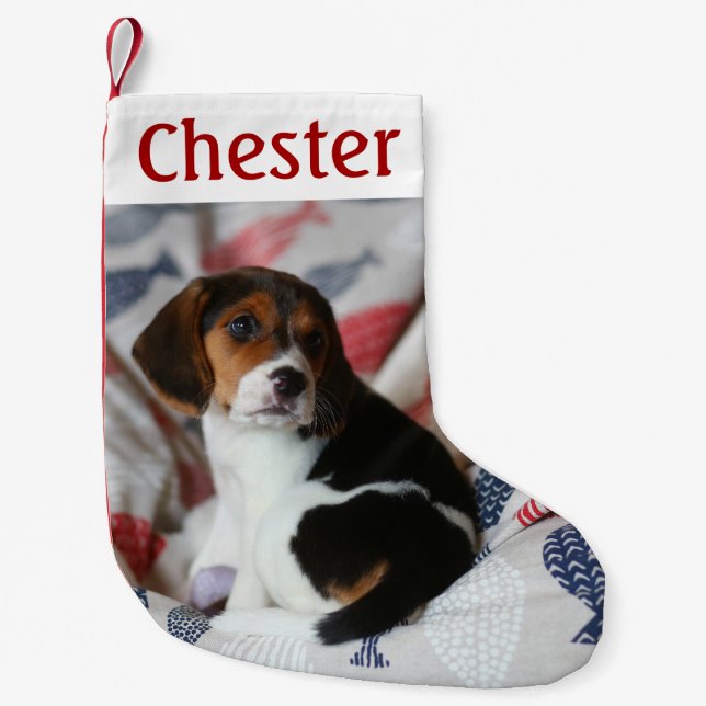 Petite Chaussette De Noël Stockage de Noël personnalisé avec animal de compa (Devant)