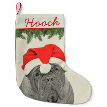 Style de Dogue de Bordeaux Vintage