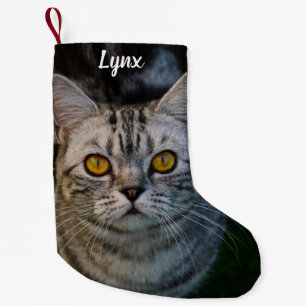 Petite Chaussette De Noël Tabby Gris Chat Métal
