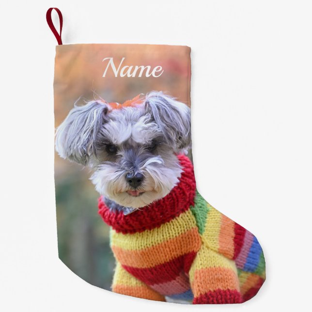 Petite Chaussette De Noël Teacup Schnauzer Chien chiot dans un pull (Devant)