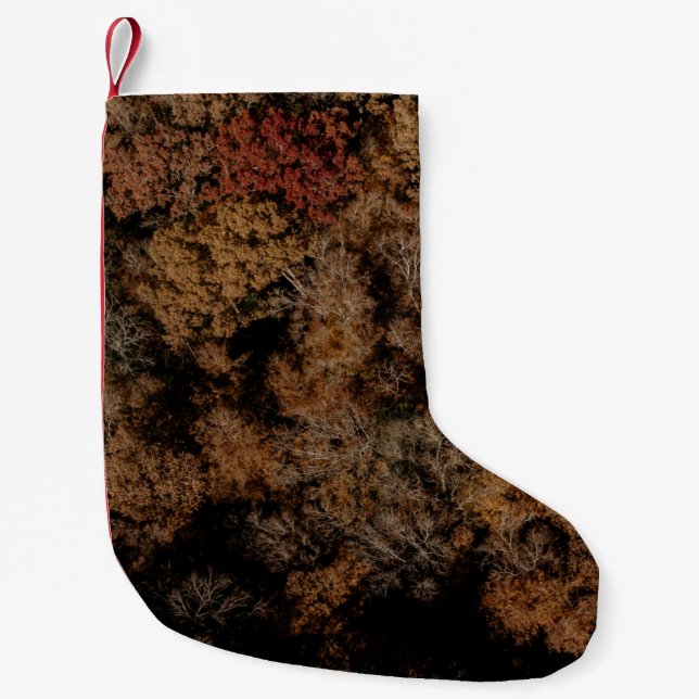 Petite Chaussette De Noël Top-view photography of tree (Devant)
