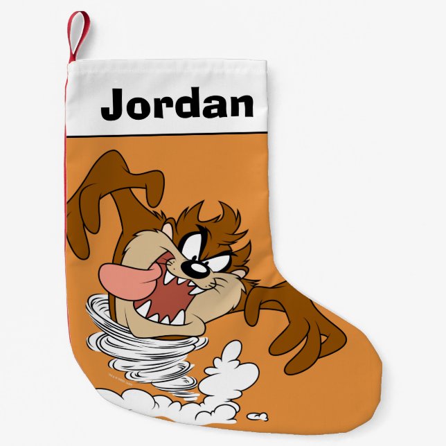 Petite Chaussette De Noël Tornade à bulles TAZ™ (Devant)