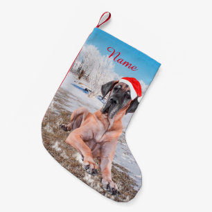 Petite Chaussette De Noël Très Beau Chien Danse Assis Dans Le Casquette De N