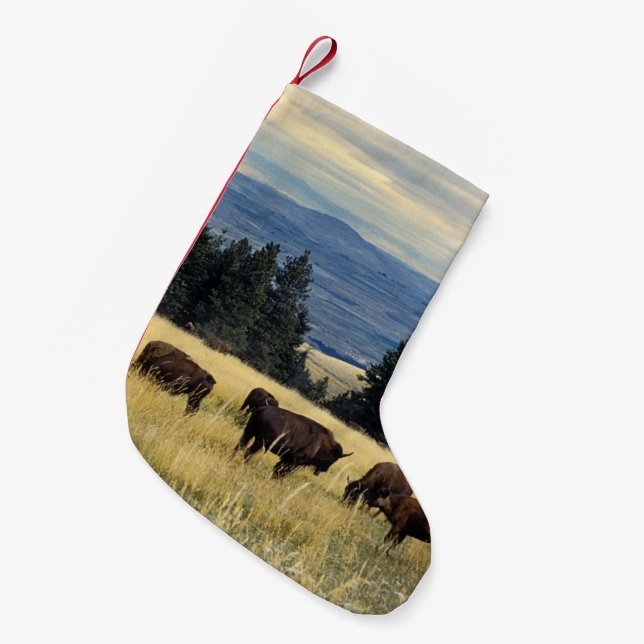 Petite Chaussette De Noël Troupeau de bison de parcs nationaux (Devant (Accrochage))