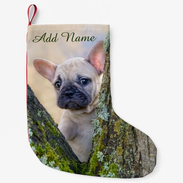 Petite Chaussette De Noël Un petit chien de taureau français en fourche (Devant)
