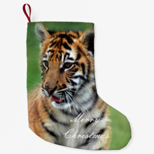 Petite Chaussette De Noël Un petit tigre mignon