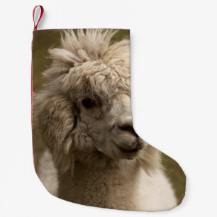 PETITE CHAUSSETTE DE NOËL VIENNA WIEN ÖSTERREICH AUTRICHE ALPAKA LAMA ANIMA