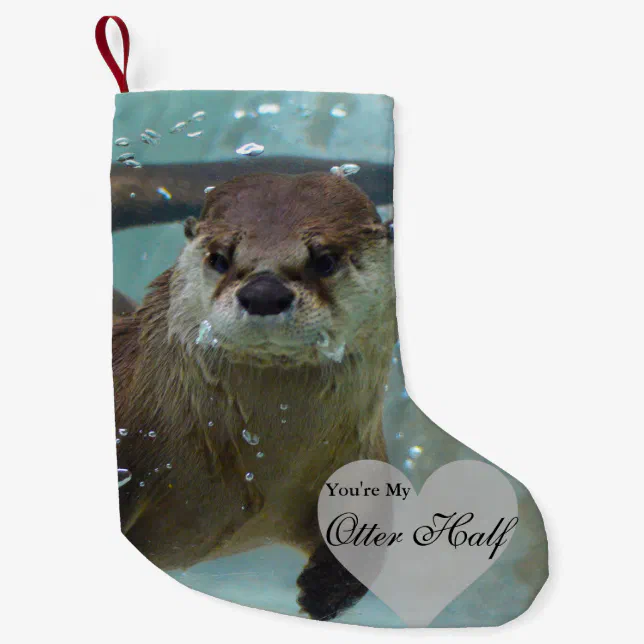 Chaussettes loutres outlet