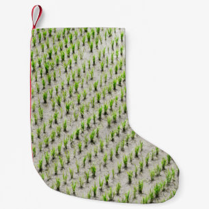 Petite Chaussette De Noël Vue aérienne photographie des rizières pendant la