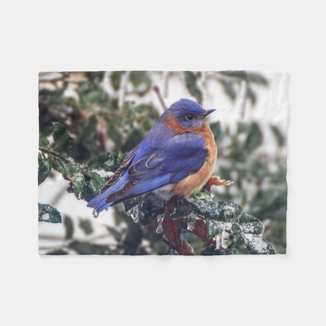 Petite couverture d'ouatine d'oiseau bleu oriental (Devant (Horizontal))