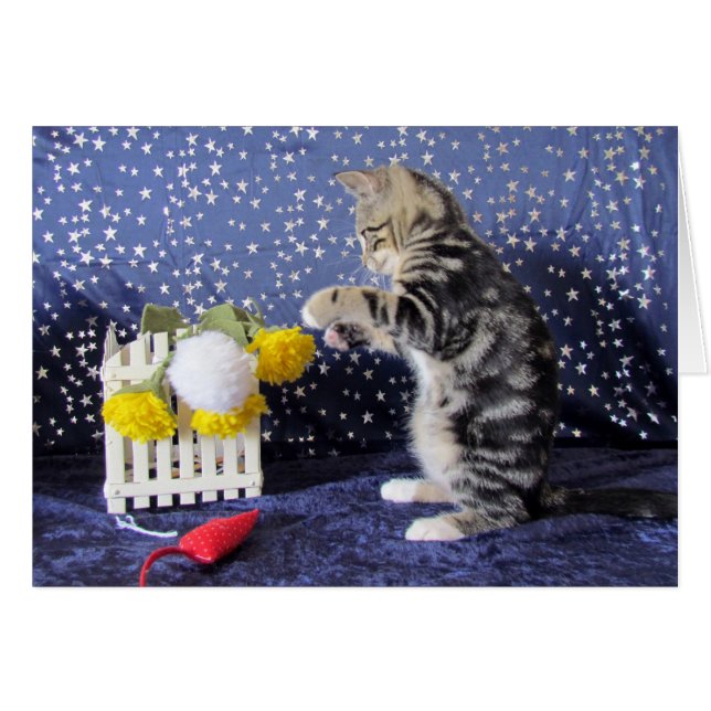 Petite fille espiègle - Lilo (Devant horizontal)