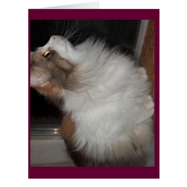 Petite fillette (Devant)