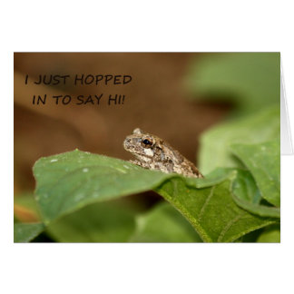 Petite grenouille d'arbre Hopping à Say Hi