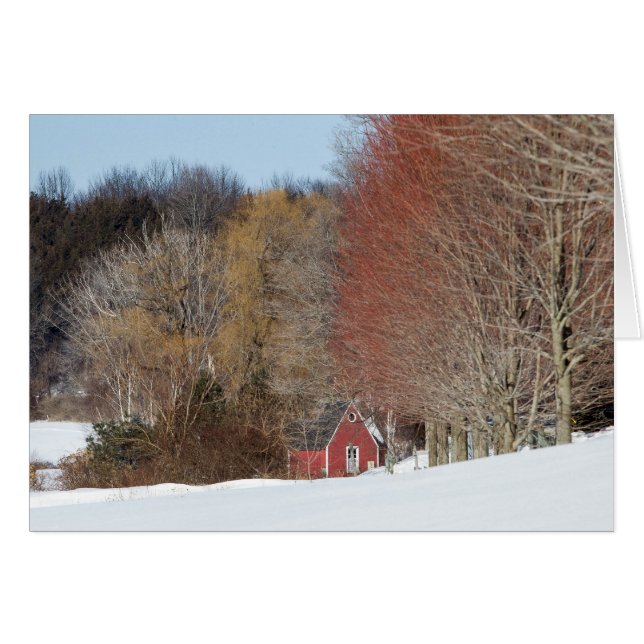 Petite maison rouge (Devant horizontal)