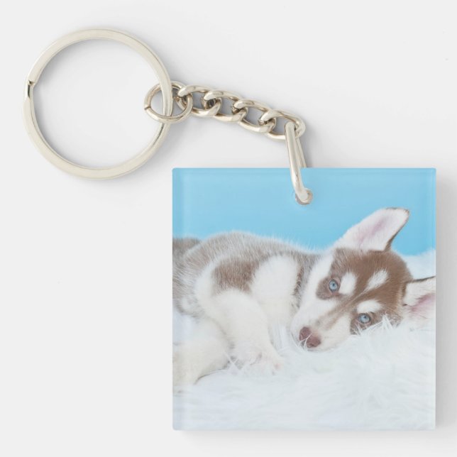 Petite marionnette Husky posée sur une couverture (Devant)