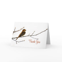 Petite note de Merci d'oiseau