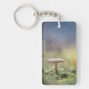 Petite photo de la nature des champignons