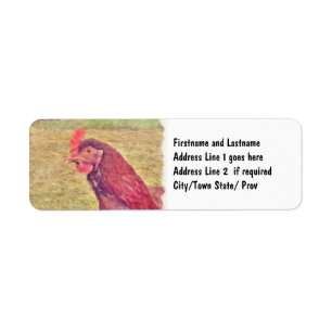 Petite poule rouge peinte