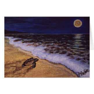 petite tortue sur la plage de costa rica