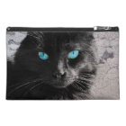 Chat noir observé par bleu