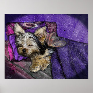 Petite Yorkie Ange couchant Ailes et Poster Halo