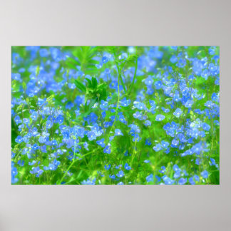 PETITES FLEURS BLEUES POSTER