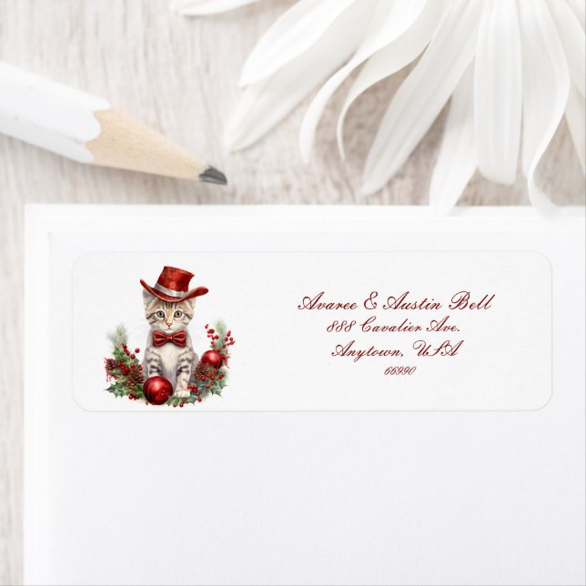 Petits Chatons Habillés Pour Noël (En situation)