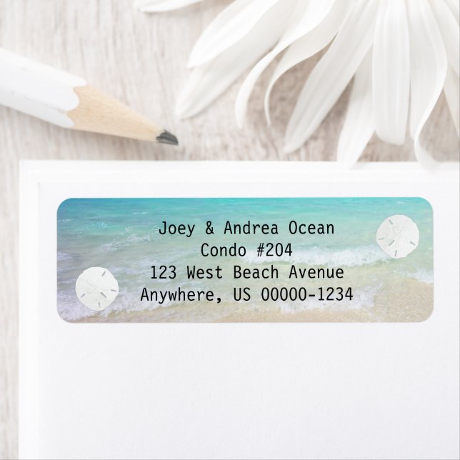 Petits dollars de sable Arrière - plan (En situation)