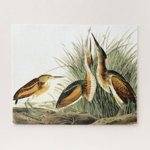 Petits oiseaux de Heron Puzzle Animaux sauvages