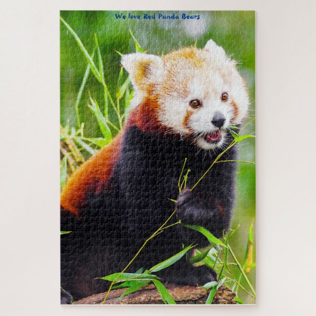 Petits pandas roux. Puzzle (Vertical)