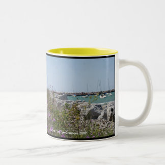 Petoskey Michigan Two-Tone Coffee Mug