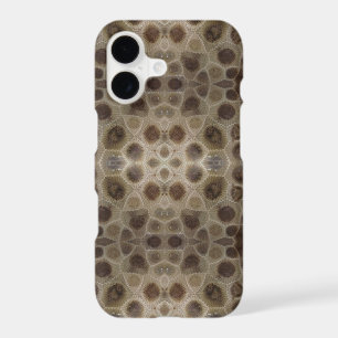 Petoskey Stone