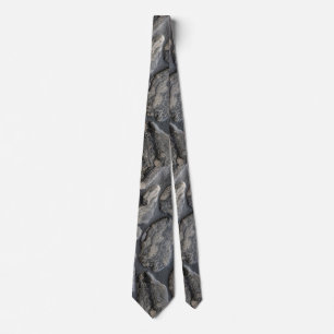 petoskey stone background tie