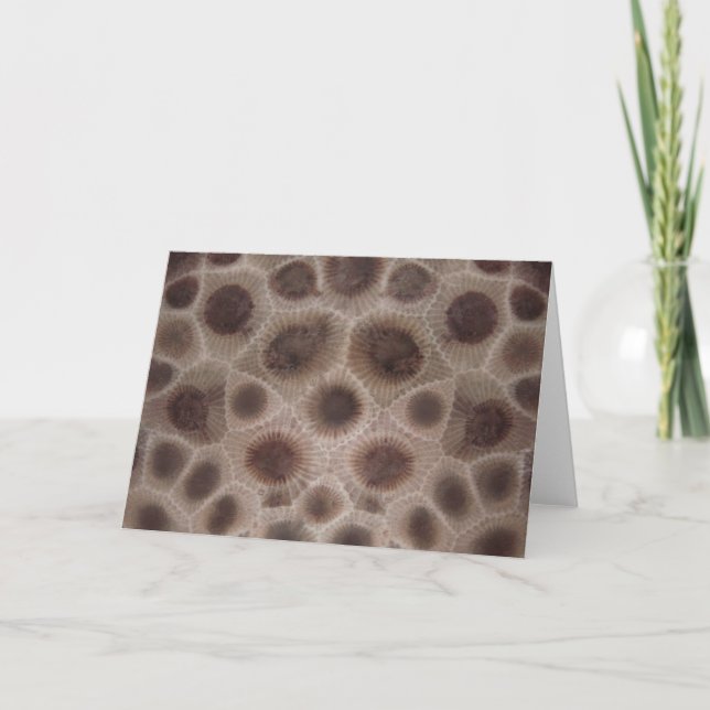 Petoskey stone card (Front)
