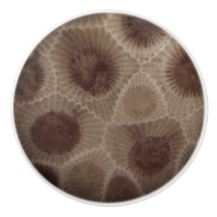 Petoskey Stone Ceramic Knob