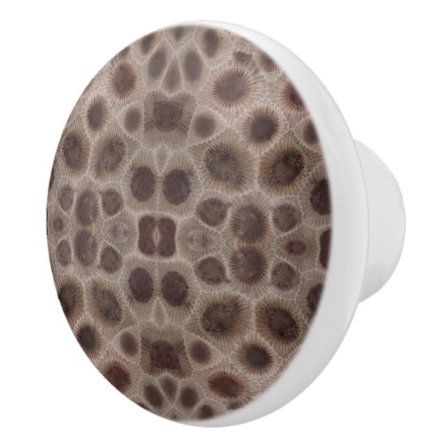 Petoskey Stone Ceramic Knob (Right)
