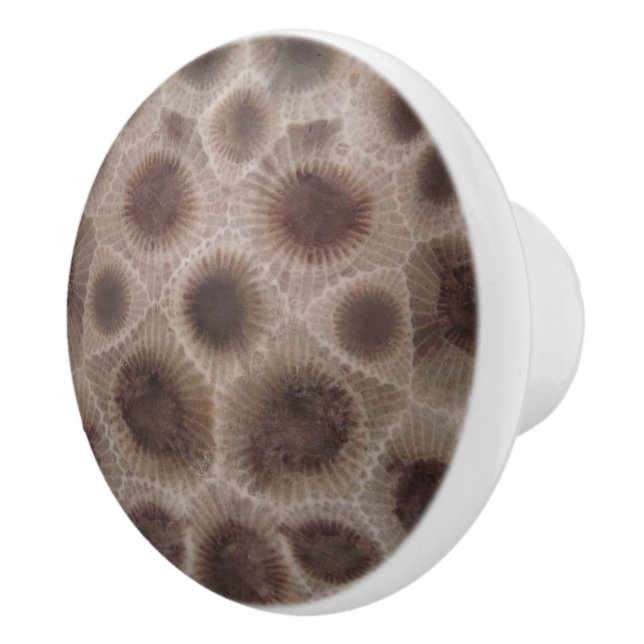 Petoskey Stone Ceramic Knob (Right)