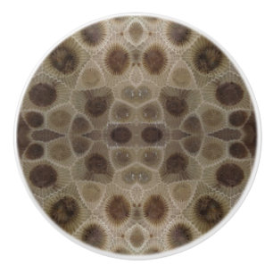 Petoskey Stone Ceramic Knob