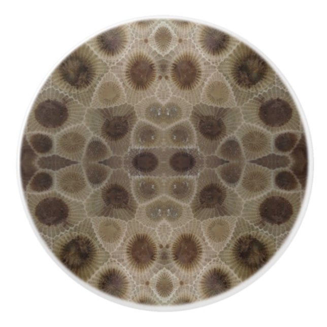 Petoskey Stone Ceramic Knob (Front)
