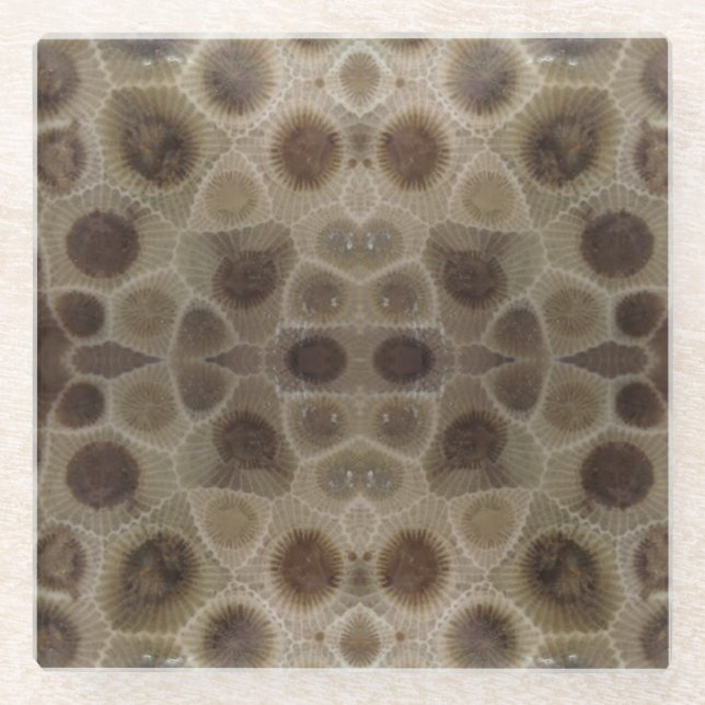 Petoskey Stone Glass Coaster (Front)