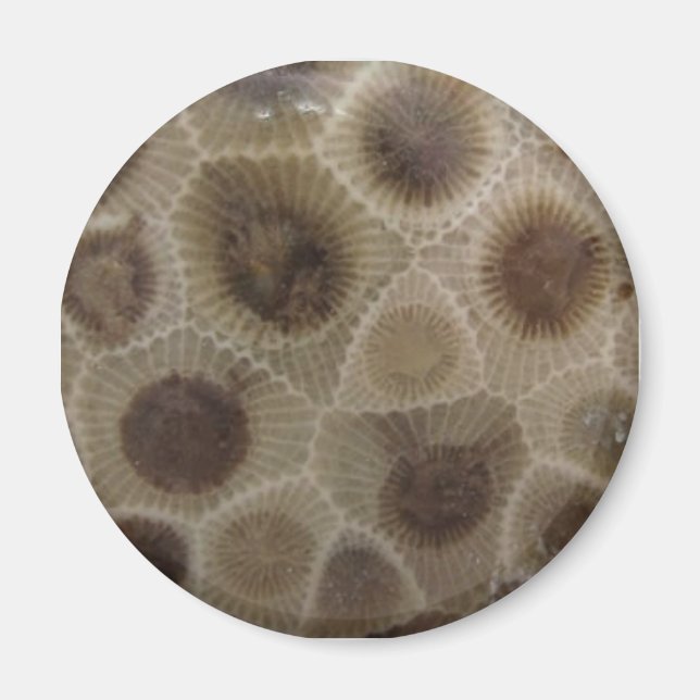 Petoskey Stone Magnet (Front)