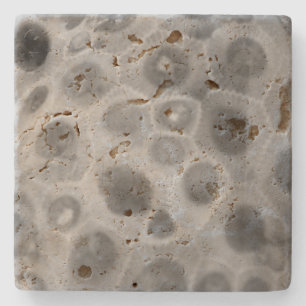 Petoskey Stone Pattern Coaster