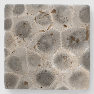 Petoskey Stone Pattern Coaster
