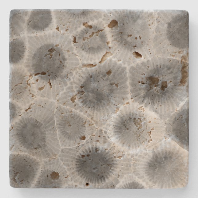 Petoskey Stone Pattern Coaster (Front)