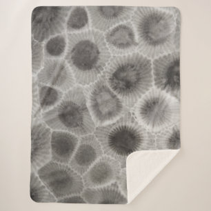 Petoskey Stone Pattern Sherpa Blanket