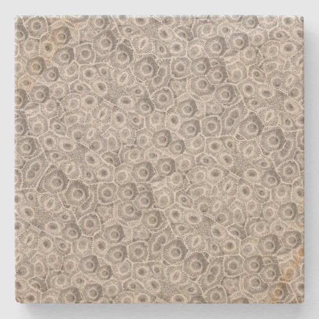 Petoskey Stone Pattern Stone Coaster (Front)