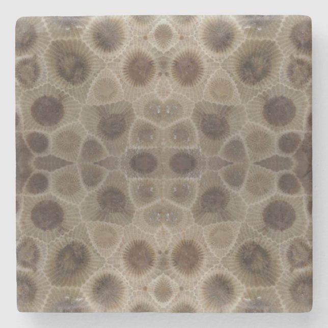 Petoskey Stone Stone Coaster (Front)
