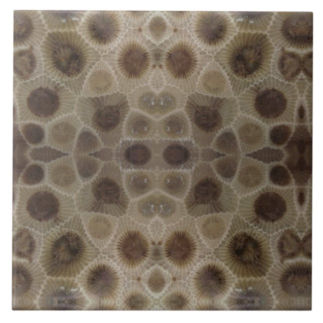 Petoskey Stone Tile (Front)