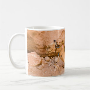 PETRA - Tasse de la Jordanie